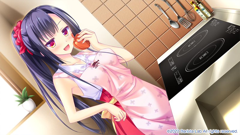 【AVG】天空的蓝与白：如梭夏日~官方中文[PC+3G]