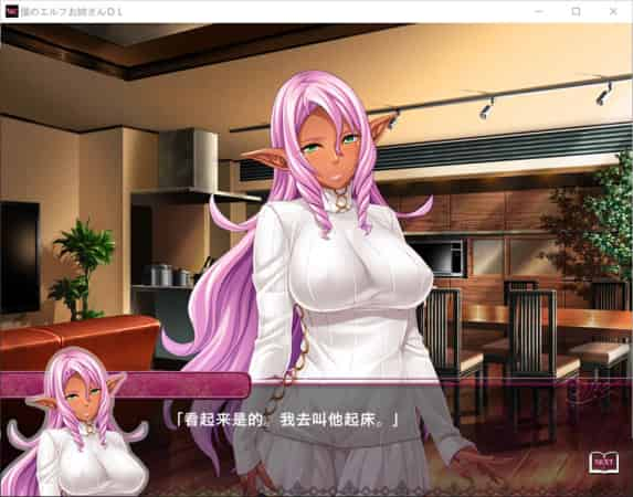 【ADV】我的精灵姐姐~AI汉化版+全CG存档[PC+1.1G]